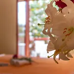 La Rotonda
