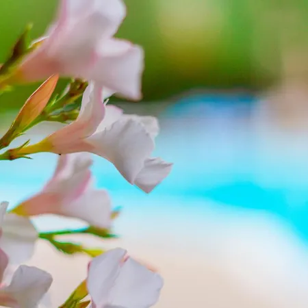 فندق La Rotonda ماتيناتا