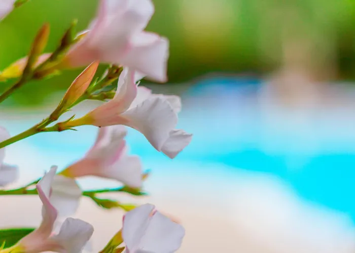 מלון La Rotonda מאטינאטה